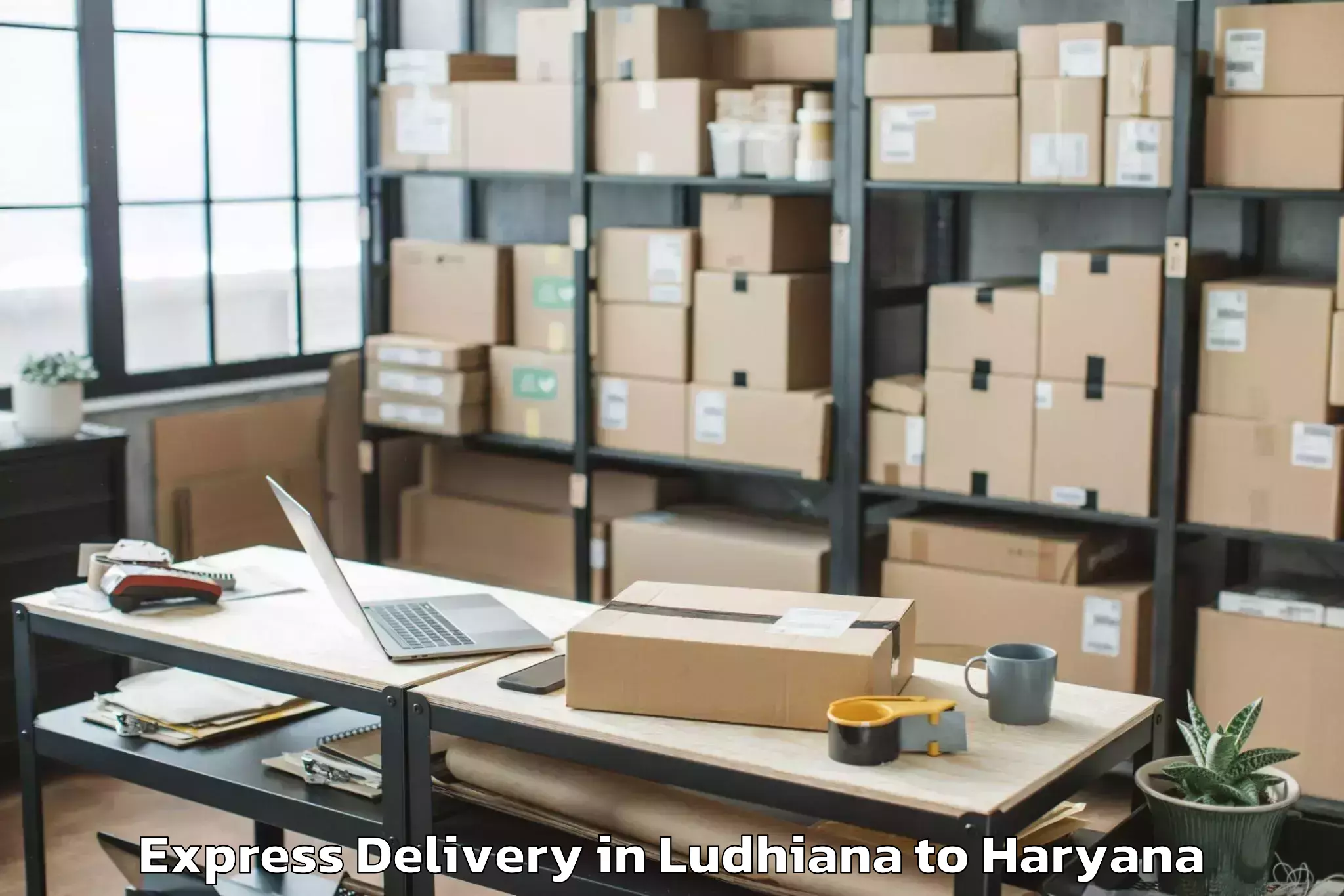 Top Ludhiana to Narnaund Express Delivery Available